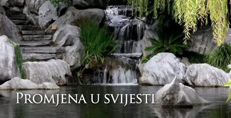 Promjena u svijesti