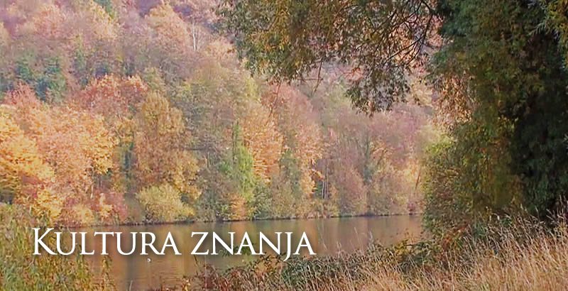 Kultura znanja