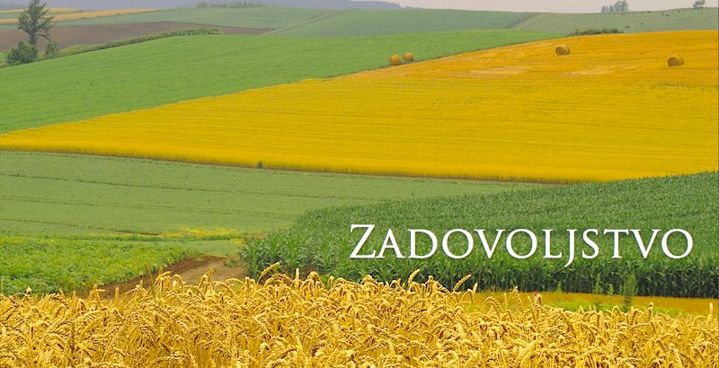 Zadovoljstvo