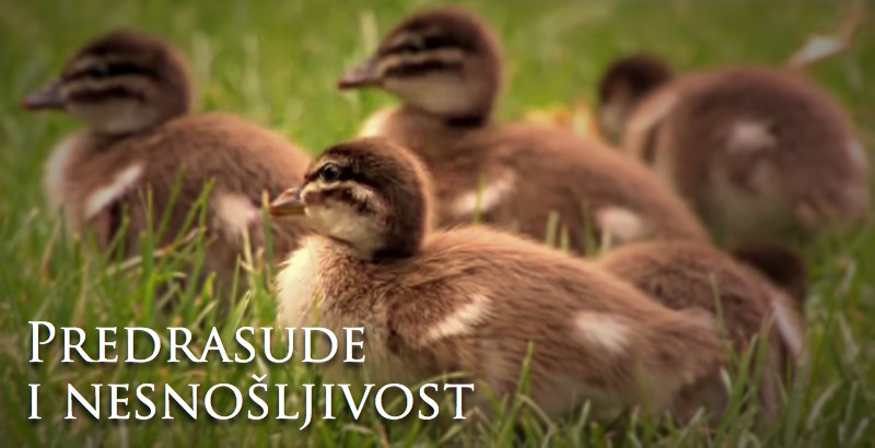 Predrasude i nesnošljivost
