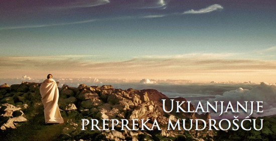 Uklanjanje prepreka mudrošću